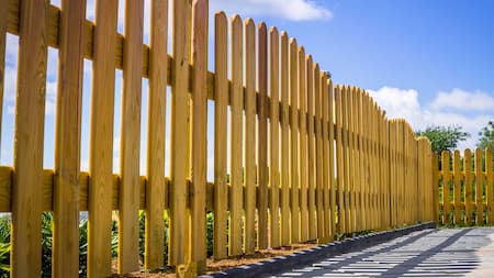 Fence Cleaning